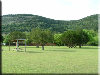 All the trees & grass are lush green.